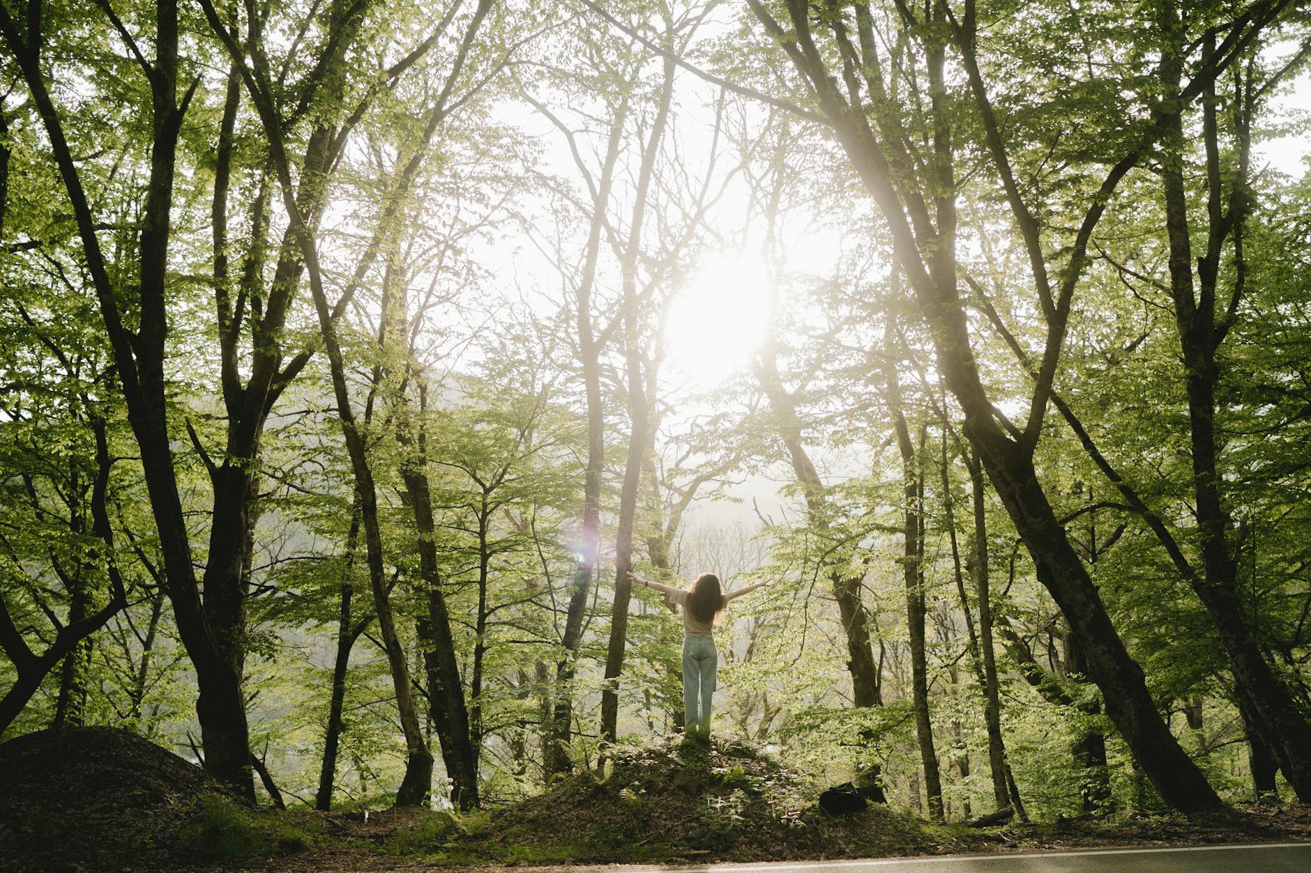 The sun glows through green leaved trees of a forest with a woman standing on a mound of earth with her arms outstretched to her surroundings