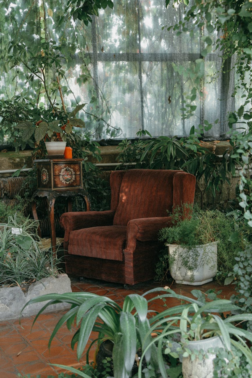 Living room furniture is surrounded in overgrown green plants.